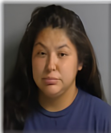 Mugshot of Terri Adams