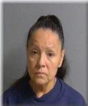 Mugshot of Darla Holmgren
