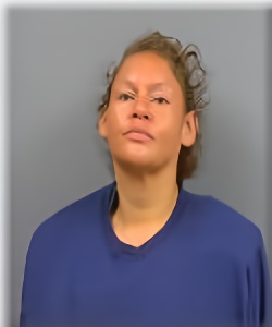 Mugshot of Shelly Hanson
