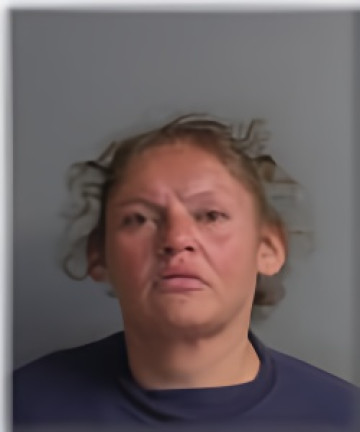 Mugshot of Shelly Hanson
