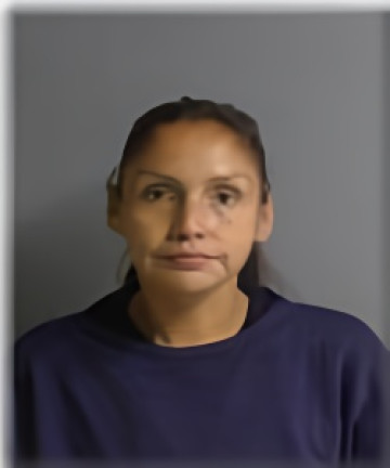 Mugshot of Rozanna Roy