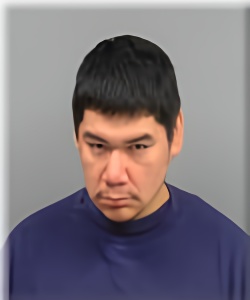Mugshot of LUIZ DELAROSA