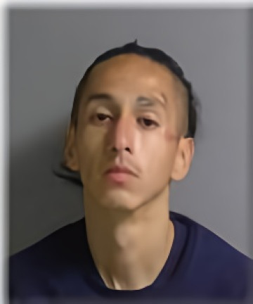 Mugshot of Tavian Lyons