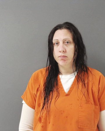 Mugshot of JESSICA LEE ANDERSON
