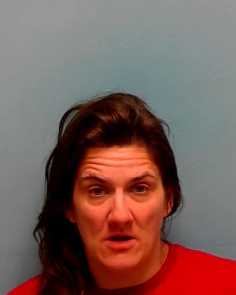 Mugshot of NICOLLE LYNN FAWCETT