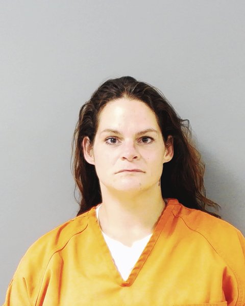 Mugshot of DYANA MARIE ZOELLNER