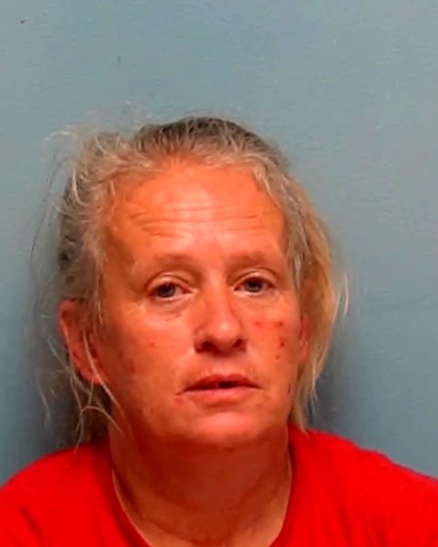 Mugshot of CARI ANN RODECKER