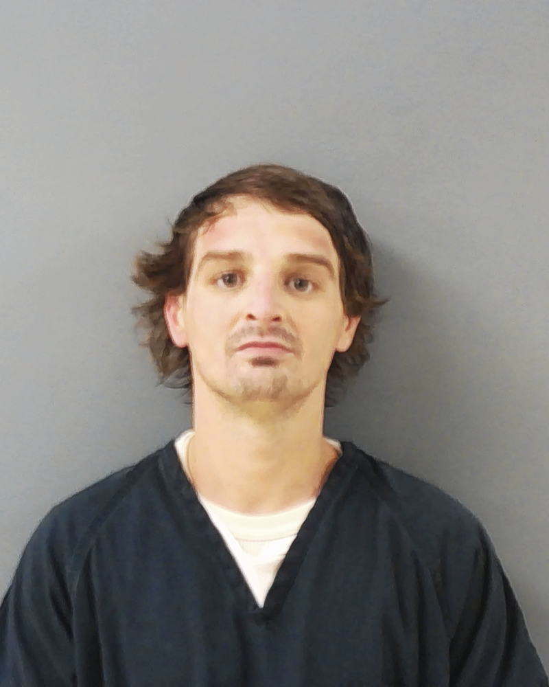 Mugshot of GEORGE EDWARD, JR SALDANA