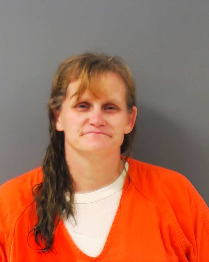 Mugshot of KELLEY MARJORIE NYBERG