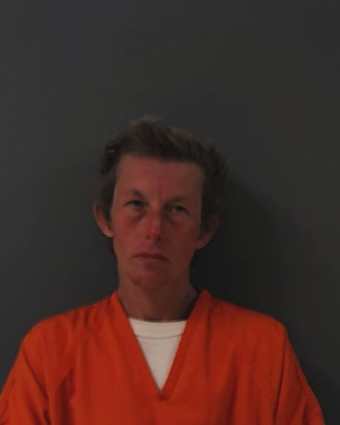 Mugshot of ELIZABETH MICHELLE DUVALL
