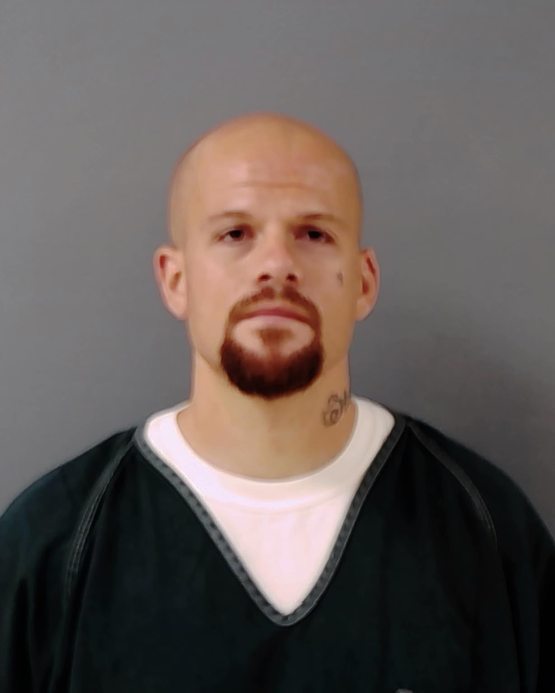 Mugshot of TYLOR JAMES POGANSKI