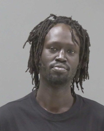 Mugshot of Sebit John Biel