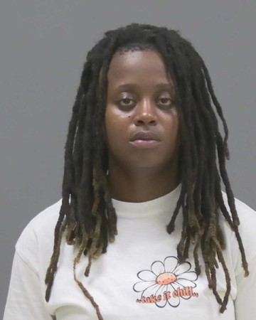 Mugshot of Tamara Tina Boyd