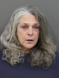 Mugshot of HEIDI DANETTE MCWHORTER