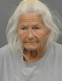 Mugshot of SHEILA YVONNE WOLTERS