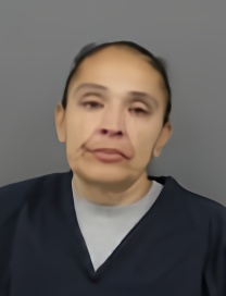 Mugshot of JENNIFER LEE MARTINEAU