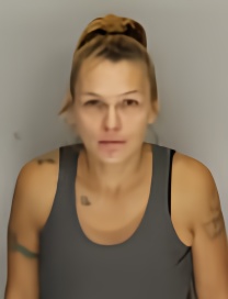 Mugshot of Cherie Kay Kingbird