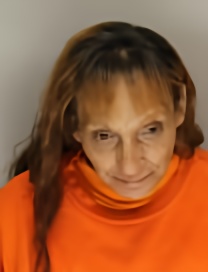 Mugshot of Mary Ann York