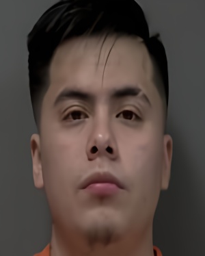 Mugshot of JOSE LUIS OCHOA