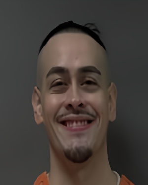 Mugshot of MARTIN SALINAS