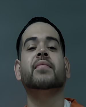 Mugshot of LUIS ENRIQUE LEAL