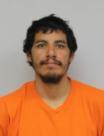Mugshot of BRANDON WHITE