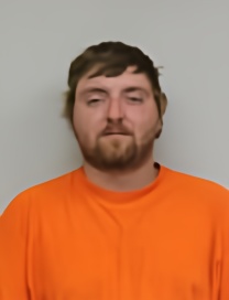 Mugshot of LUKE SYVERSON