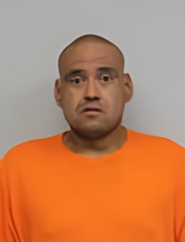 Mugshot of WAYNE BEAULIEU