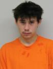 Mugshot of LANDEN LOVEJOY