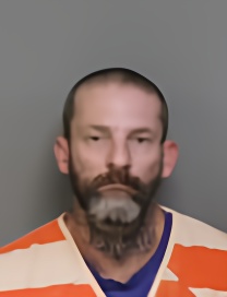 Mugshot of TYLER LEE HENNING