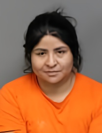 Mugshot of Adilia Elana Martin-chilel