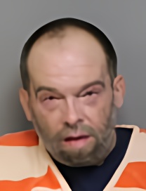 Mugshot of Steven Theodore Rummens