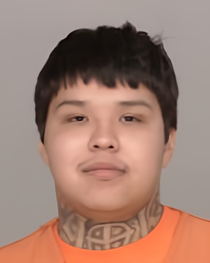 Mugshot of Ryan Henry James Davis Pacheco
