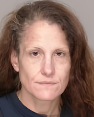Mugshot of Melissa Marie Will