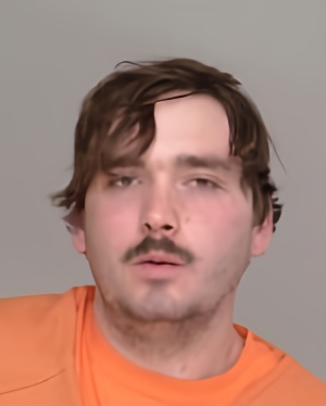 Mugshot of Timothy Jonas Voss