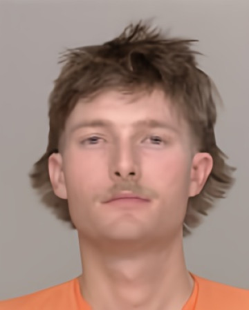 Mugshot of Aden James Larson
