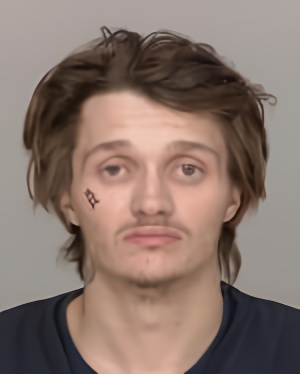 Mugshot of Dallas James Hatchard