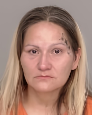 Mugshot of Jeremiah Timothy Jackson