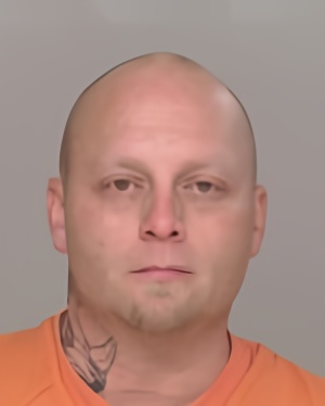 Mugshot of Michael Gregory Olson