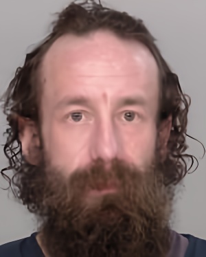 Mugshot of Ryan Michael Halstad
