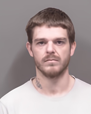Mugshot of Justin James Olson
