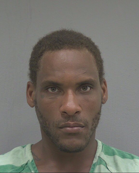 Mugshot of REGINALD DWAYNE JOHNSON