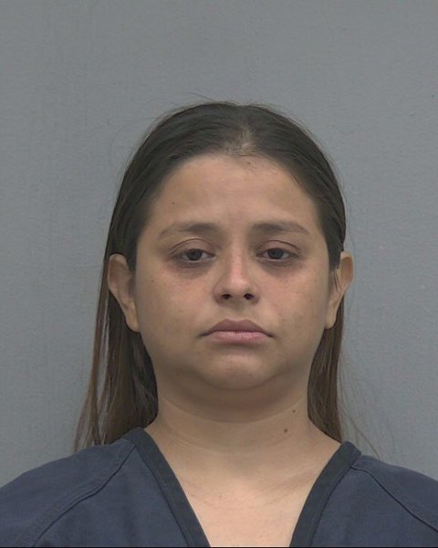 Mugshot of WENDY ISAMAR ALFARO MENJIVAR
