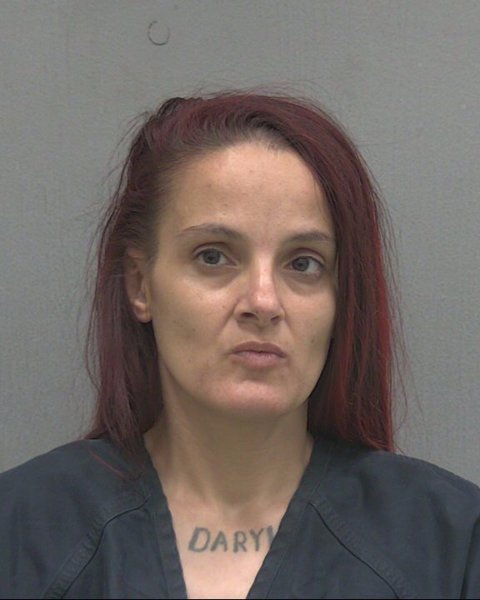 Mugshot of LEILA ANN JOHNSON