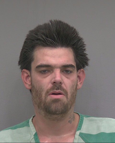 Mugshot of LOUIS ELMER PLATT
