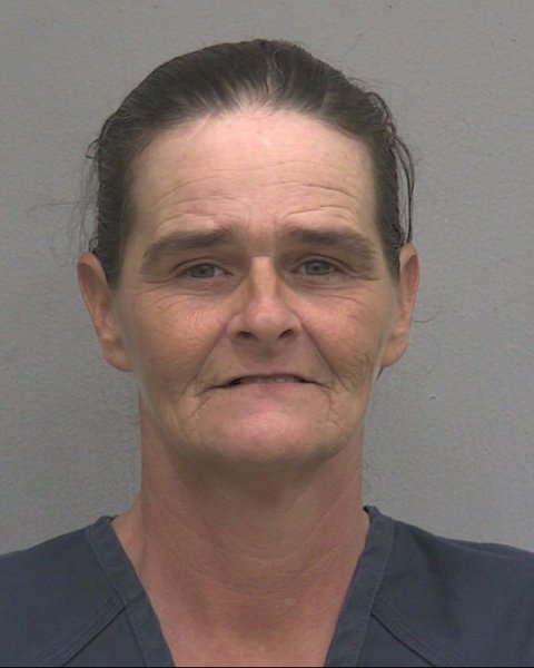 Mugshot of JENNIFER GAYLE REESE