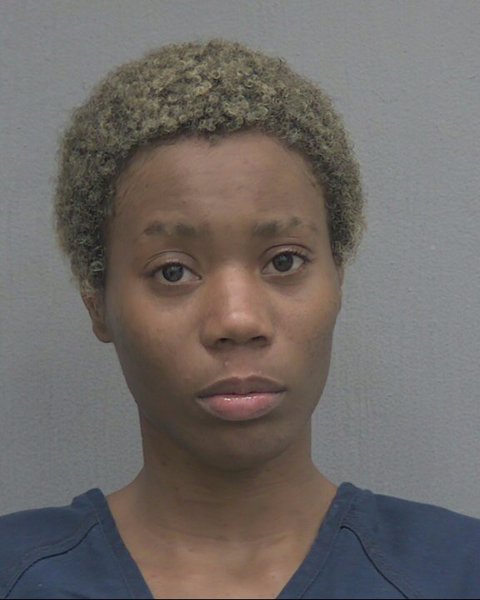 Mugshot of ELIZABETH RECHELLE MITCHELL