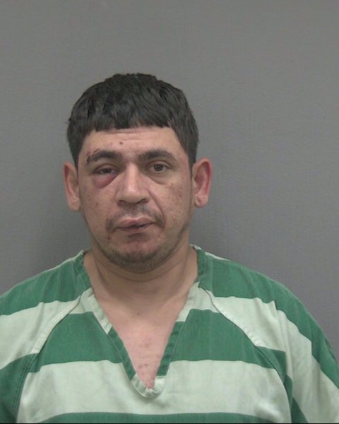 Mugshot of LUIS MAURICIO PAZOS ELIAS