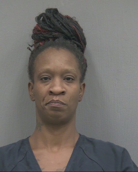 Mugshot of ANGINITA JONES MELLS