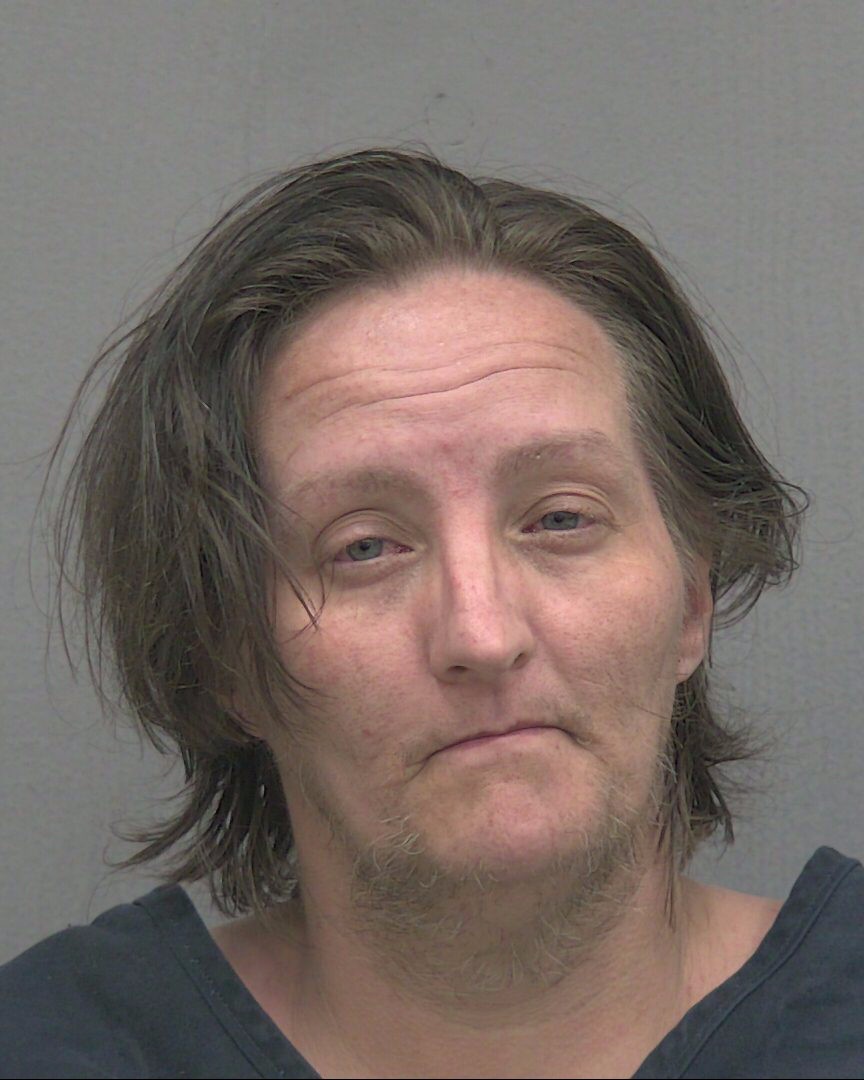Mugshot of ANALISSA MARIE COOK